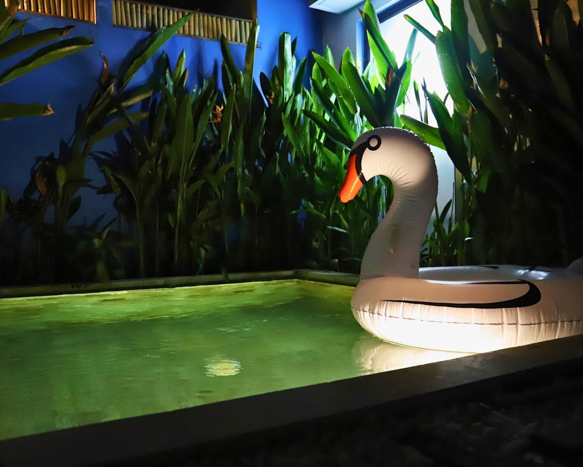 Peacock Private Pool Paradise Dalung  Dış mekan fotoğraf